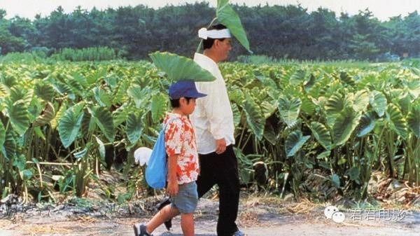 高对比暖色调影片推荐_好片推荐,颜色_色彩大胆绚丽的电影