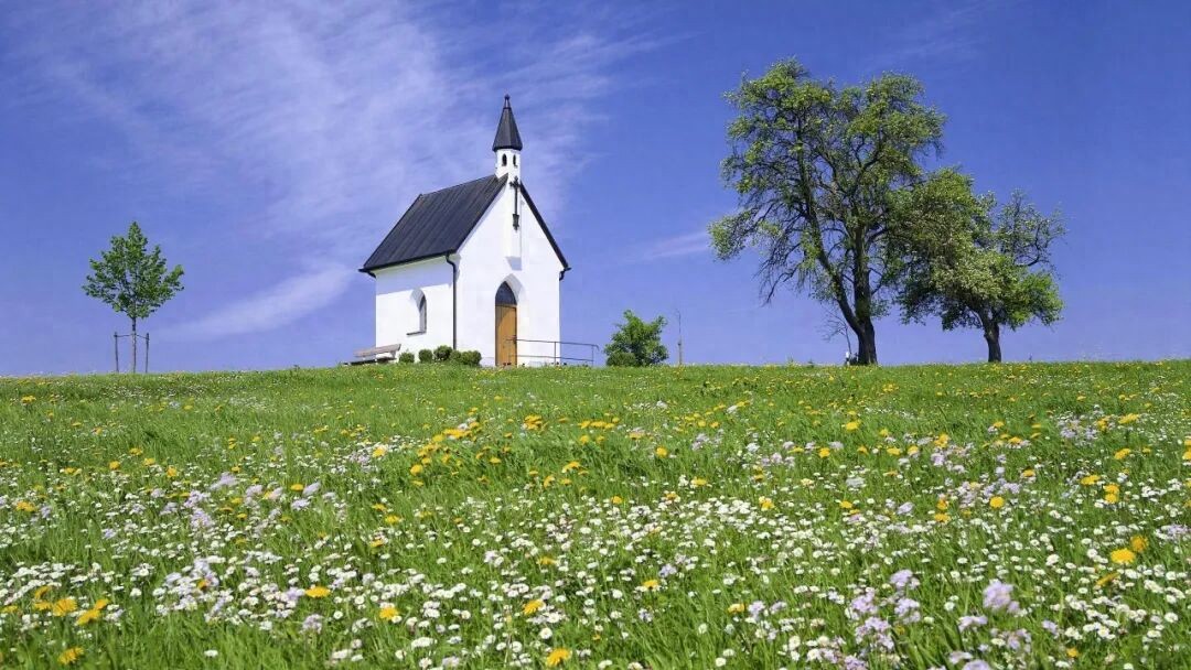 吴霜：直播间里的故事