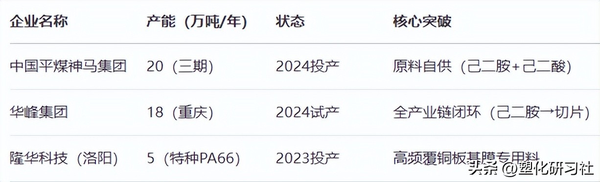 己内酰胺PA6原料项目_尼龙产业链新投产在建规划项目_PA6色母与PA66色母