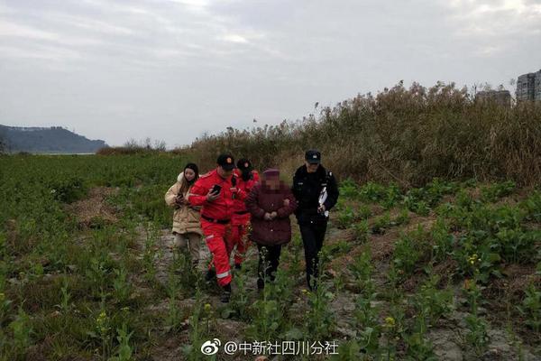 蜜桃精产国品一二三产区怎么用？新手常见问题与详细操作指南图片