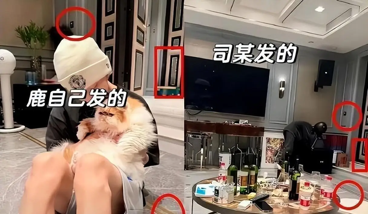 鹿晗人设崩塌事件深度解析_娱乐圈塌房原因分析_娱乐圈公共吧