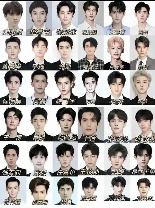 星空之下，谁在定义娱乐圈的“顶流”？