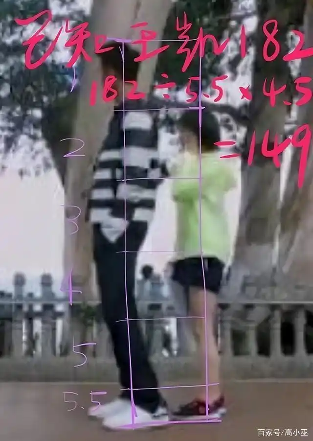 娱乐圈哪些女名星很矮_娱乐圈身高焦虑_身高不够容貌来凑的女星